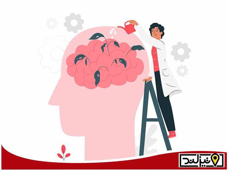 لوگو نور زندگی